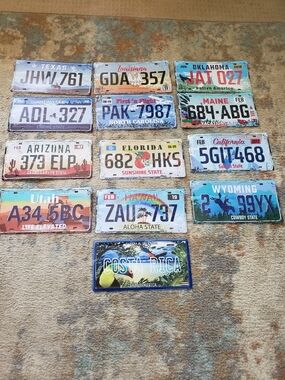 Vintage License Plate Wall Art Set - Colorful US & Costa Rica Plates All Metal
